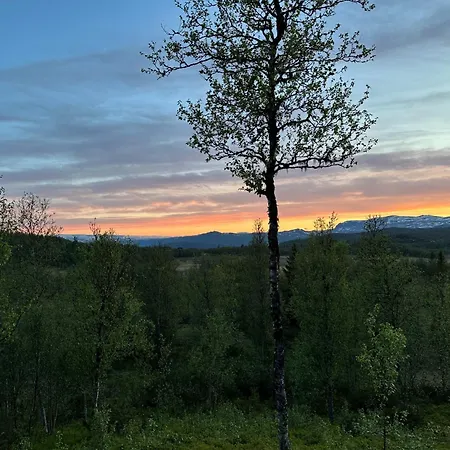 Kinnkosen - With Panoramic View For 6 Persons * Ål